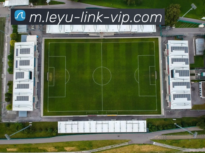 乐鱼体育发展历程